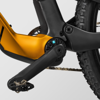 Canyon Spectral:ONfly CF CLLCTV